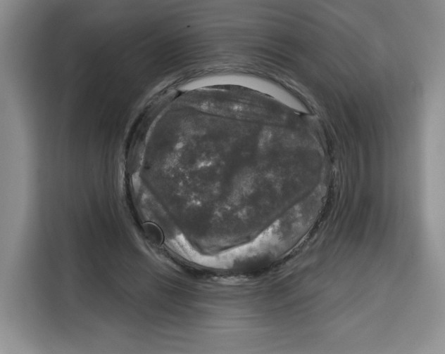 X0000115130446200911241449