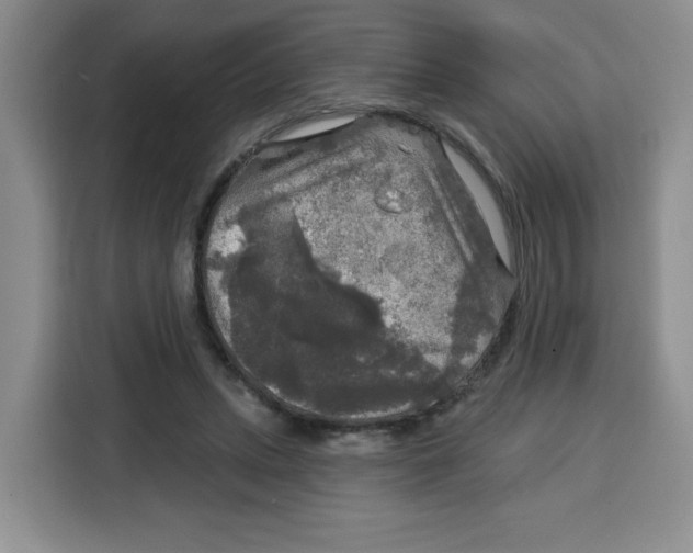 X0000115130447200911241449