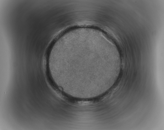 X0000115130448200911241449