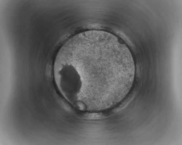X0000115130449200911241449