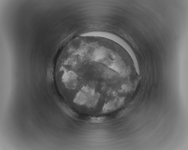 X0000115130450200911241449