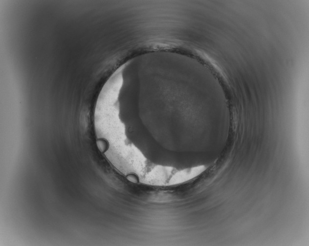 X0000115130451200911241449