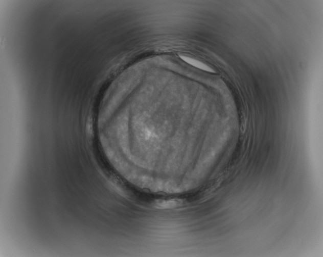 X0000115130452200911241449