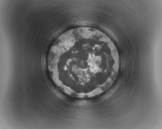 X0000115130453200911241449