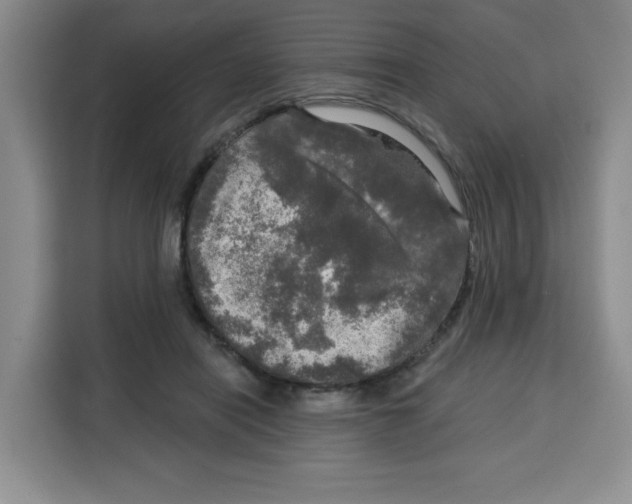 X0000115130454200911241449
