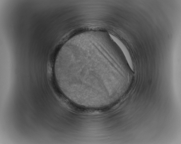 X0000115130456200911241449