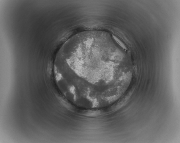 X0000115130458200911241449