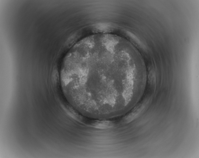 X0000115130459200911241449