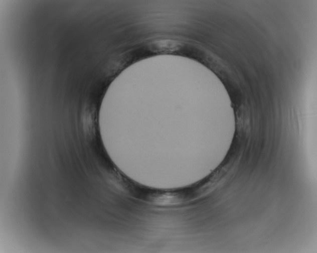 X0000115130460200911241449