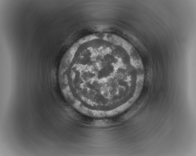 X0000115130461200911241449