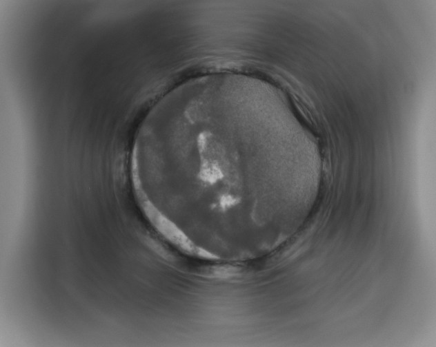 X0000115130462200911241449