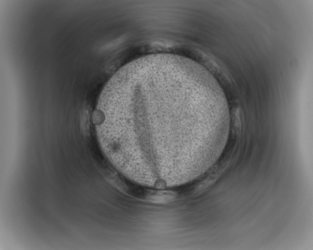 X0000115130463200911241449