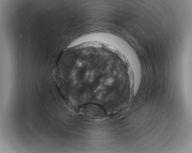 X0000115130465200911241449
