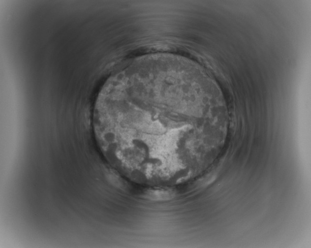 X0000115130466200911241449