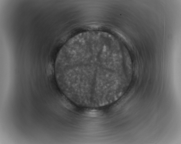 X0000115130467200911241449
