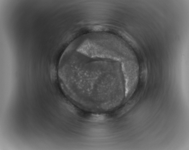 X0000115130469200911241449