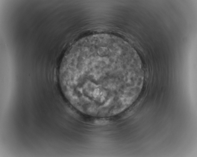 X0000115130470200911241449