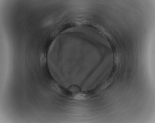 X0000115130471200911241449