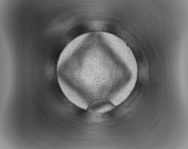 X0000115130473200911241449