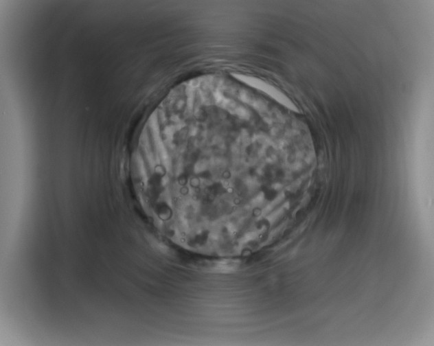X0000115130474200911241449