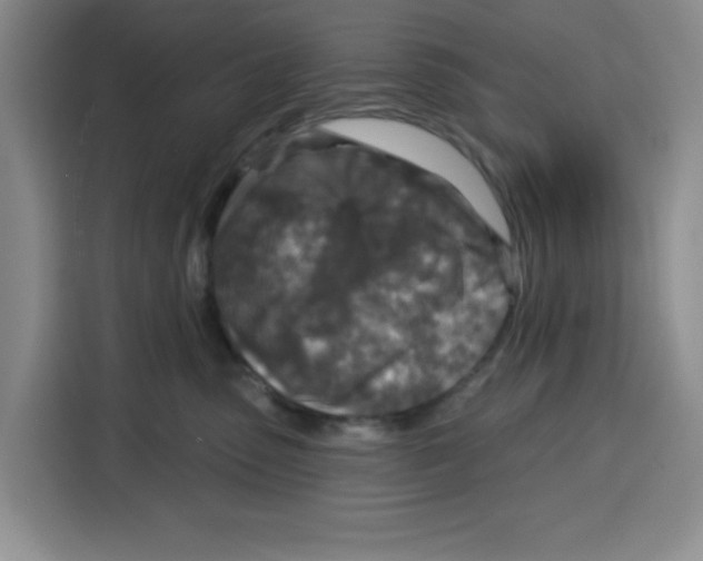 X0000115130475200911241449