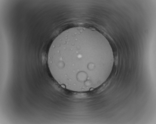 X0000115130476200911241449