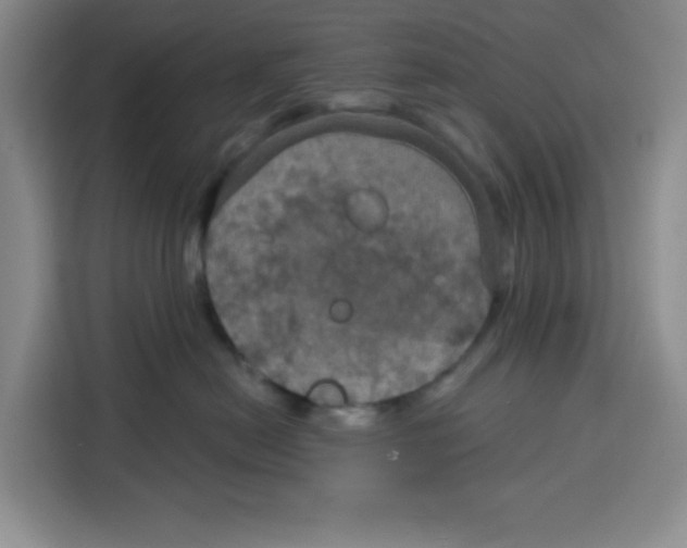 X0000115130478200911241449