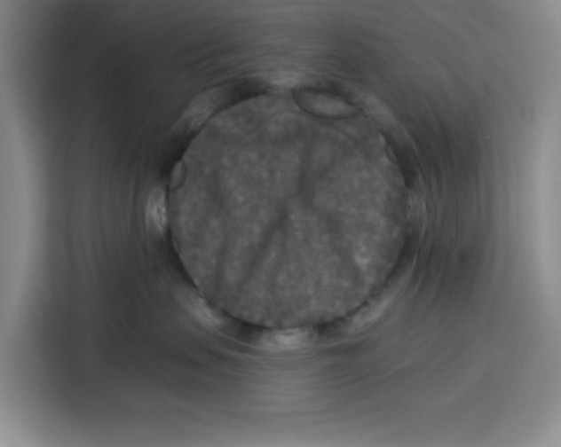 X0000115130479200911241449