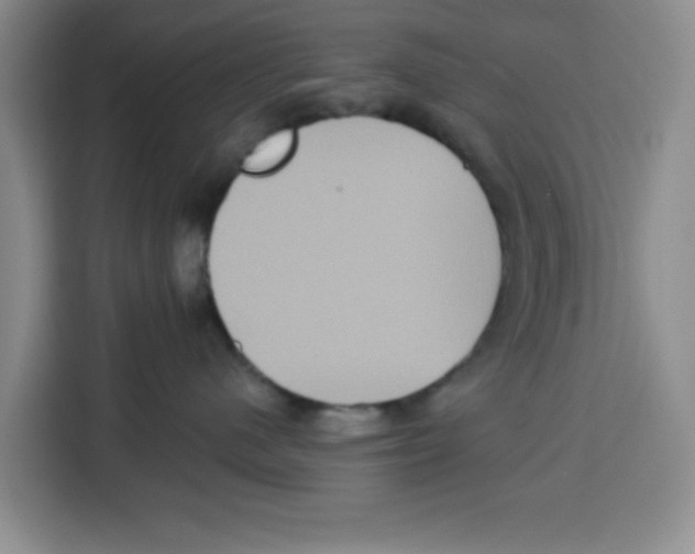X0000115130480200911241449