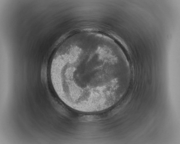 X0000115130482200911241449