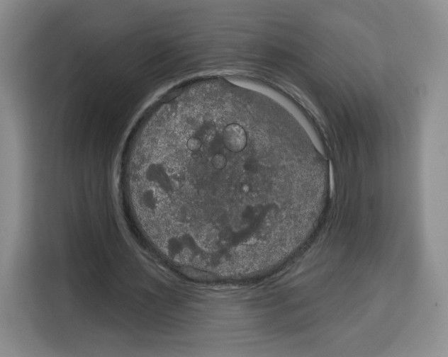 X0000115130483200911241449