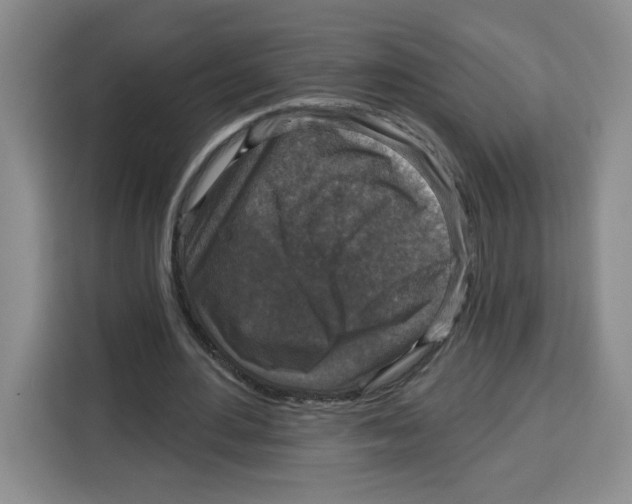 X0000115130484200911241449