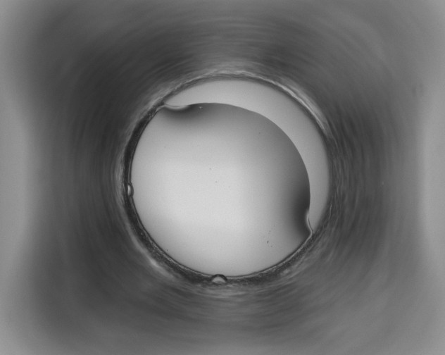 X0000115130485200911241449
