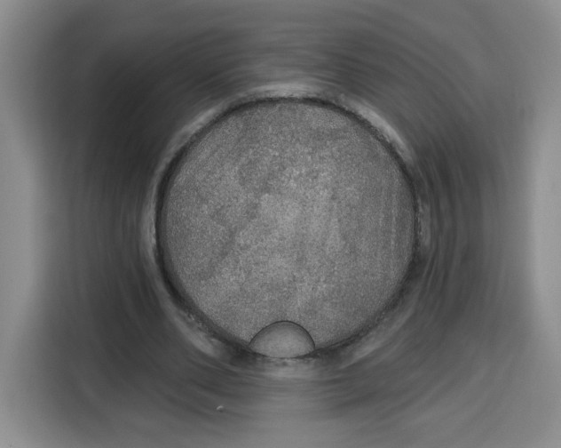 X0000115130486200911241449