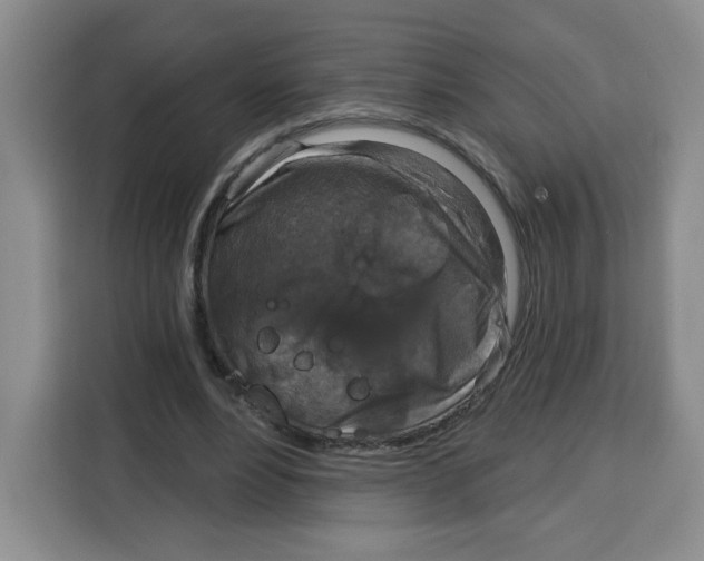 X0000115130488200911241449