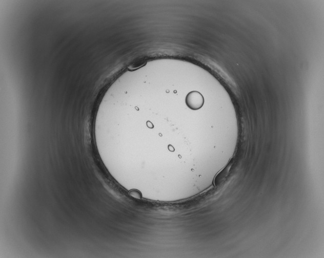 X0000115130489200911241449