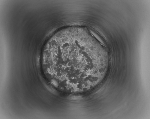 X0000115130491200911241448