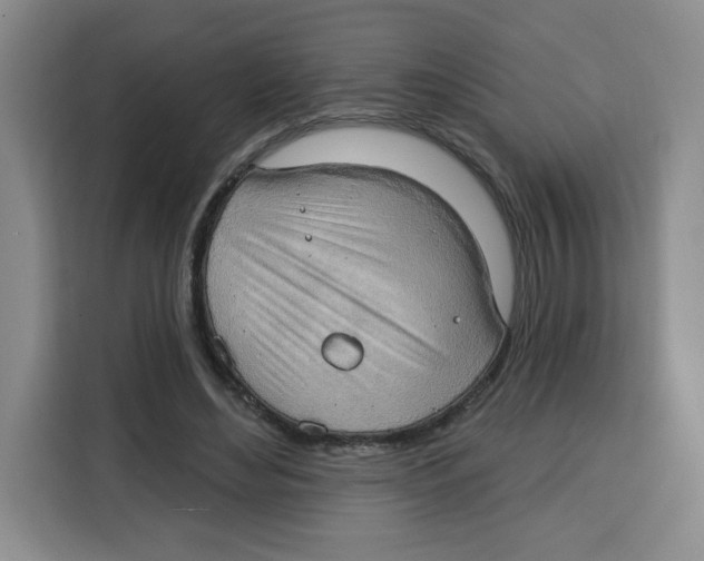 X0000115130492200911241448