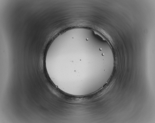 X0000115130493200911241448