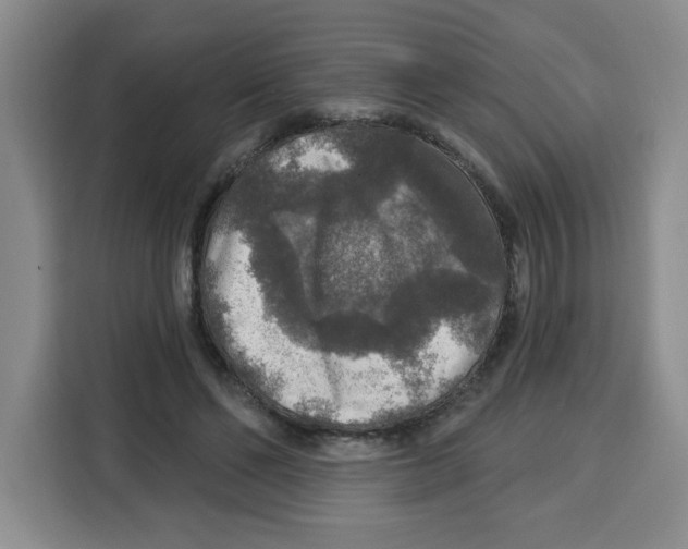 X0000115130494200911241448