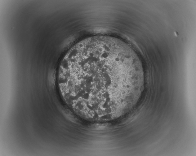 X0000115130495200911241448
