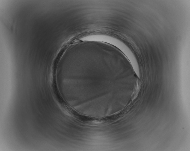 X0000115130496200911241448