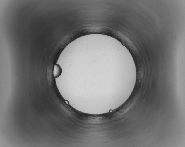 X0000115130497200911241448