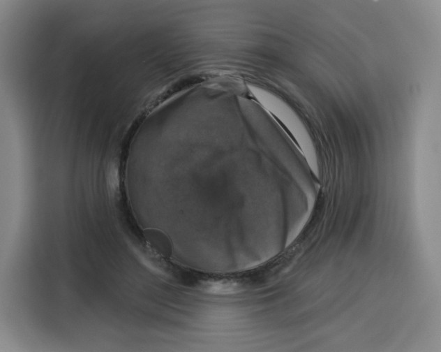 X0000115130500200911241448