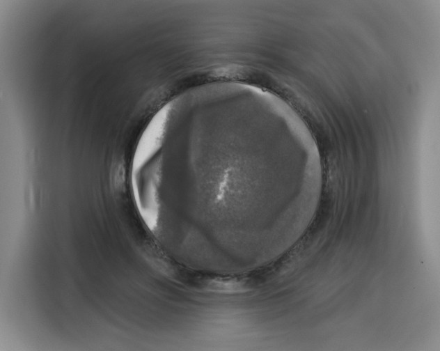 X0000115130502200911241448