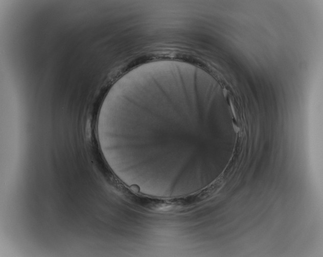 X0000115130504200911241448