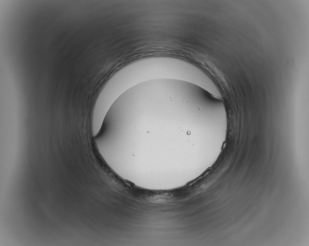 X0000115130505200911241448