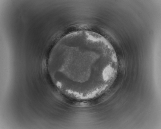 X0000115130506200911241448