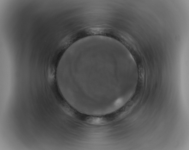 X0000115130507200911241448