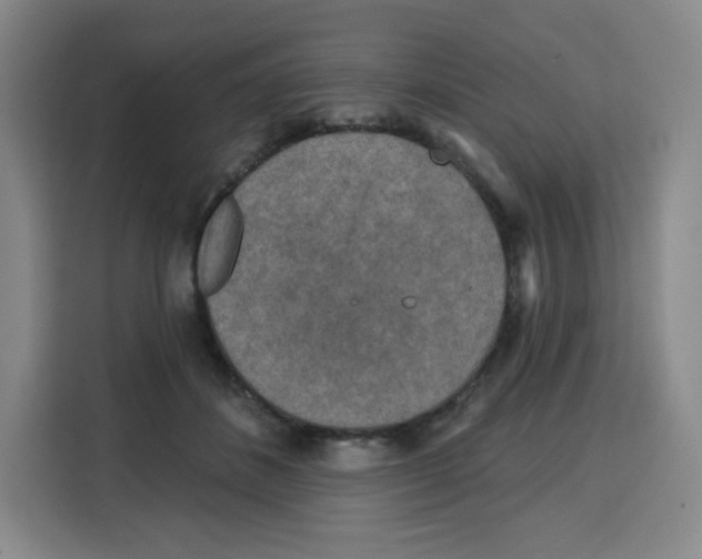 X0000115130508200911241448